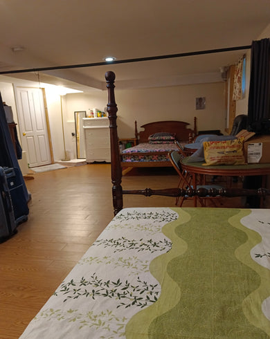 Student Room - 16 Sutherland Street