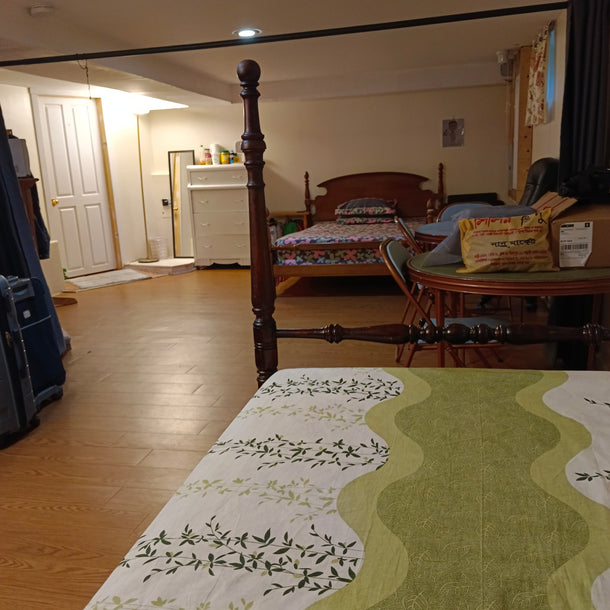 Student Room - 16 Sutherland Street