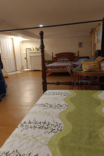 Student Room - 16 Sutherland Street