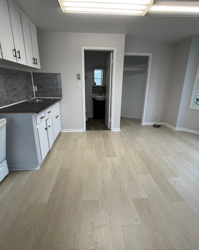 Sydney: Bachelor available on Dorchester