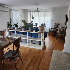 Furnished listing in New Victoria - pets will be considered - fixed term