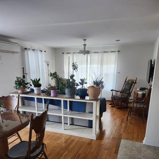 Furnished listing in New Victoria - pets will be considered - fixed term